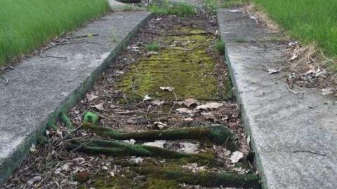 Wally World - Hole-In-One1.jpg