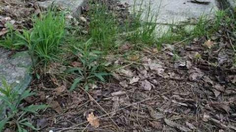 Wally World - Hole-In-One62.jpg