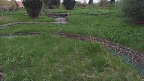 Wally World - Hole-In-One3.jpg