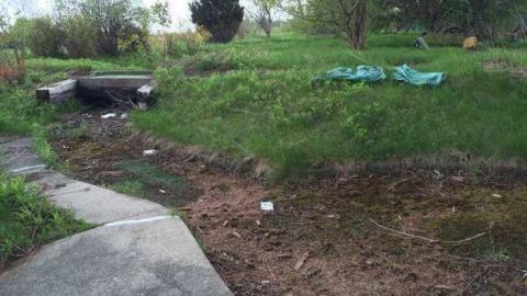 Wally World - Hole-In-One5.jpg