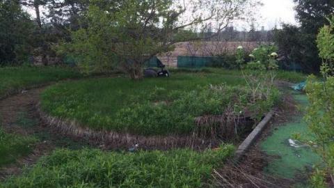 Wally World - Hole-In-One66.jpg