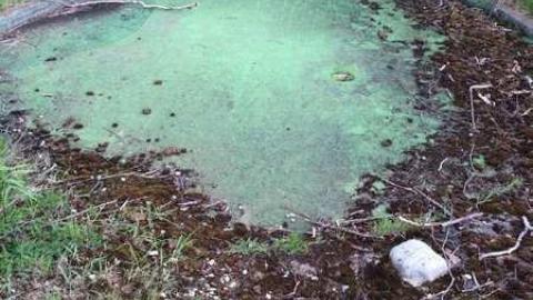 Wally World - Hole-In-One67.jpg