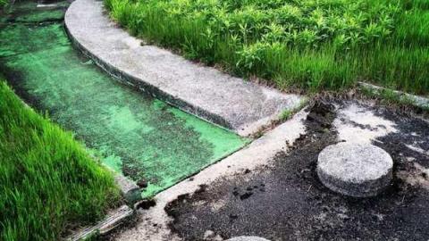 Wally World - Hole-In-One9.jpg