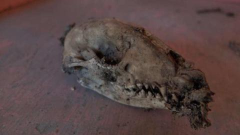 May2014 - Nairn-Barns5.jpg