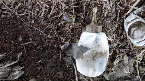 Long Weekend Pleasantries - Boneyard20.jpg