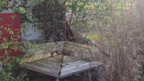 Long Weekend Food N Foam Visit - Food-N-Foam132.jpg