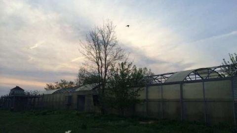 Wicker Man (Terrible Movie) - European-Wicker-Imports5.jpg