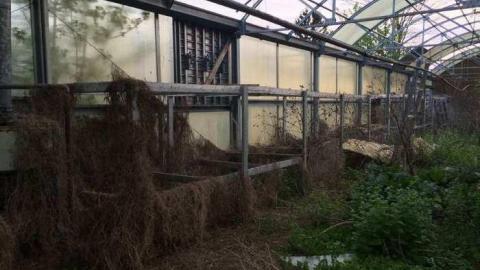 Wicker Man (Terrible Movie) - European-Wicker-Imports6.jpg