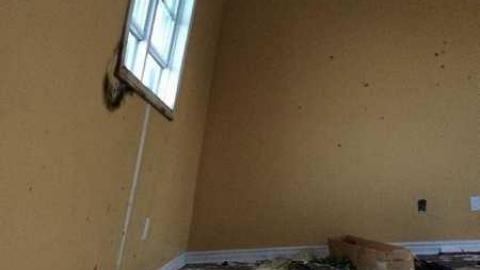 Wicker Man (Terrible Movie) - European-Wicker-Imports80.jpg