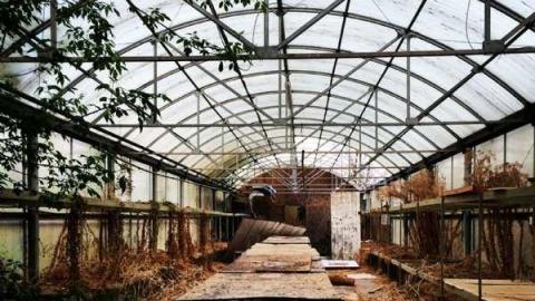 Wicker Man (Terrible Movie) - European-Wicker-Imports14.jpg