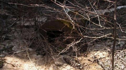 Copper Manor - Copper-Manor14.jpg