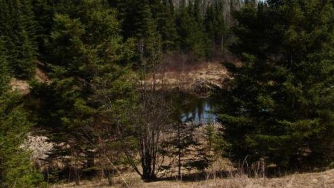 Copper Manor - Copper-Manor8.jpg