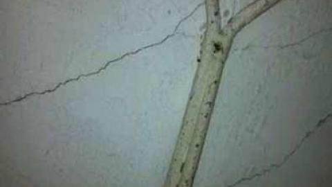 Still Locked Down May 2014 - 23.jpg