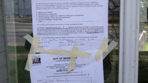 May 2014 - DSC07831.jpg