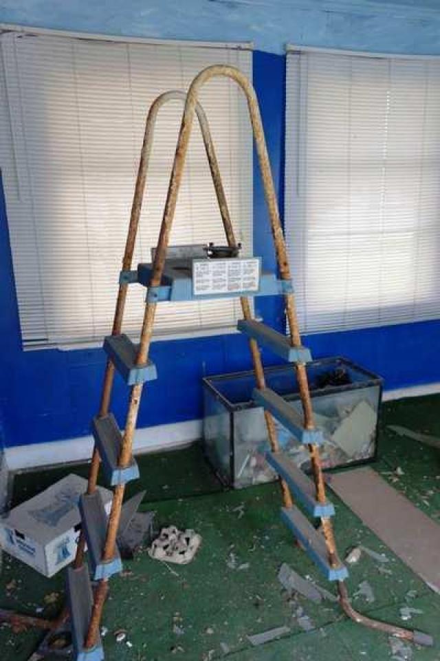 May 2014 - DSC07835.jpg