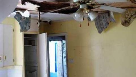 May 2014 - DSC07841.jpg