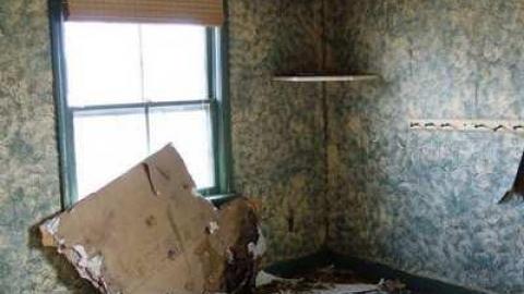 May 2014 - DSC07874.jpg