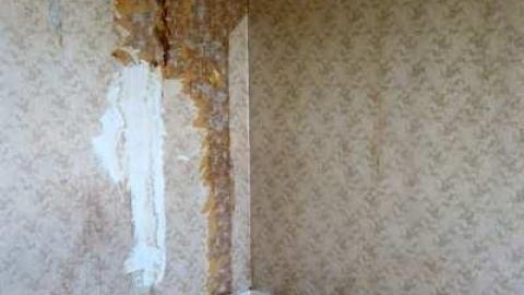 May 2014 - DSC07882.jpg