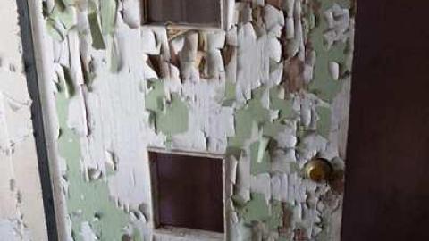 May 2014 - DSC07906.jpg