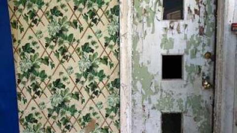 May 2014 - DSC07912.jpg