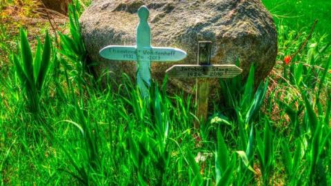 May 2014 - 407-Extension-Solina58.jpg