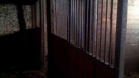 A Room with a view - A-Barn-With-A-View11.jpg