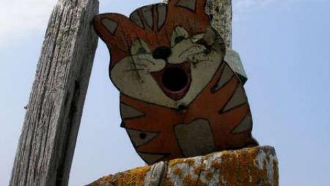 Boyne Free - Rayner-House22.jpg