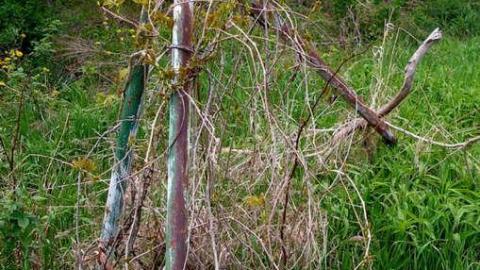 Boyne Free - Rayner-House4.jpg