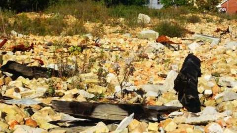 Photo from Long Live Alma