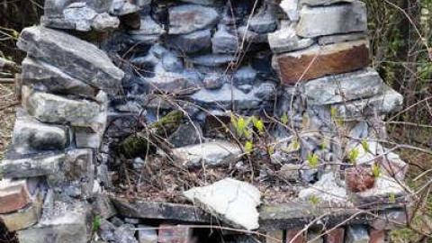 Furry Bench Resort - DSC08143.jpg