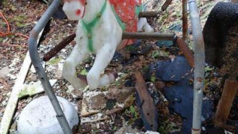 Furry Bench Resort - DSC08146.jpg