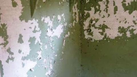 Photo from Furry Bench Resort