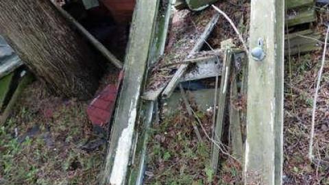 Furry Bench Resort - DSC08168.jpg