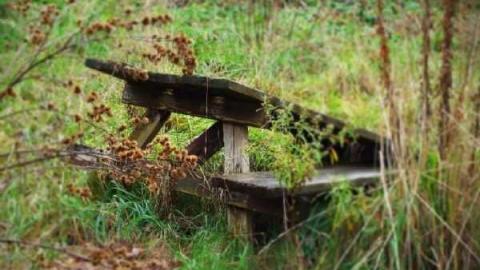 November 19th - Jeremiahs-Field204.jpg