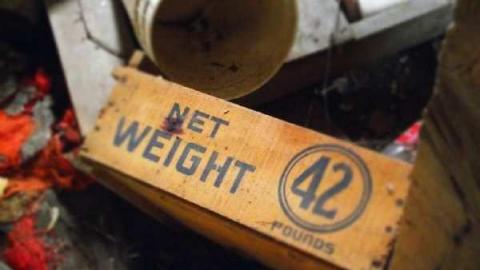 Photo from November 19th