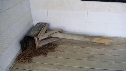 May 2014 - DSC_0461.jpg