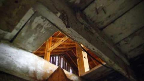 November 19th - Jeremiahs-Field206.jpg