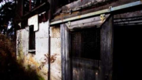 November 19th - Jeremiahs-Field207.jpg