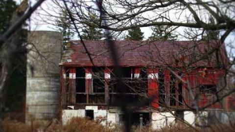 November 19th - Jeremiahs-Field208.jpg