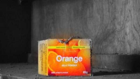 November 19th - Jeremiahs-Field209.jpg