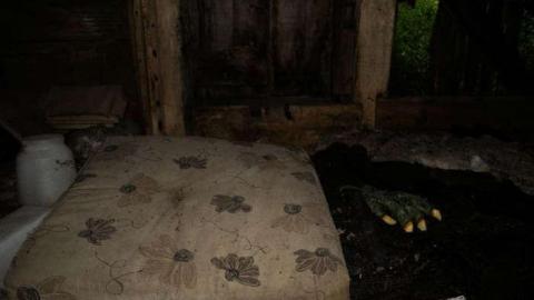 A Short Visit - DSC_0279.jpg