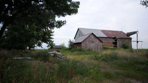 A Short Visit - DSC_0292.jpg