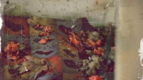 Photo from November 19th