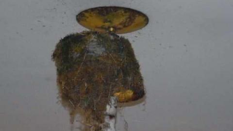 November 19th - Jeremiahs-Field213.jpg