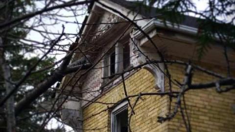 Photo from November 19th