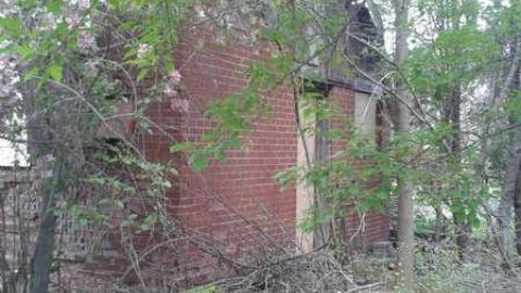 Soon to be Developed photo 5