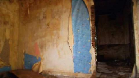 5493 Egremont Drive - Highway-22-Homestead4.jpg