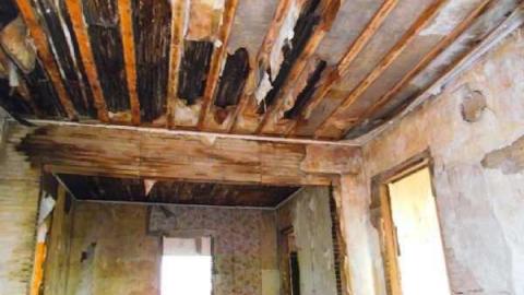 5493 Egremont Drive - Highway-22-Homestead9.jpg