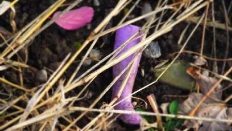 5493 Egremont Drive - Highway-22-Homestead10.jpg