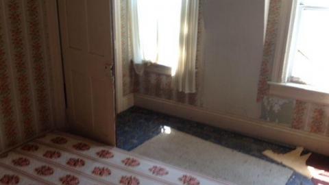 Trull Prins Farm photo 3